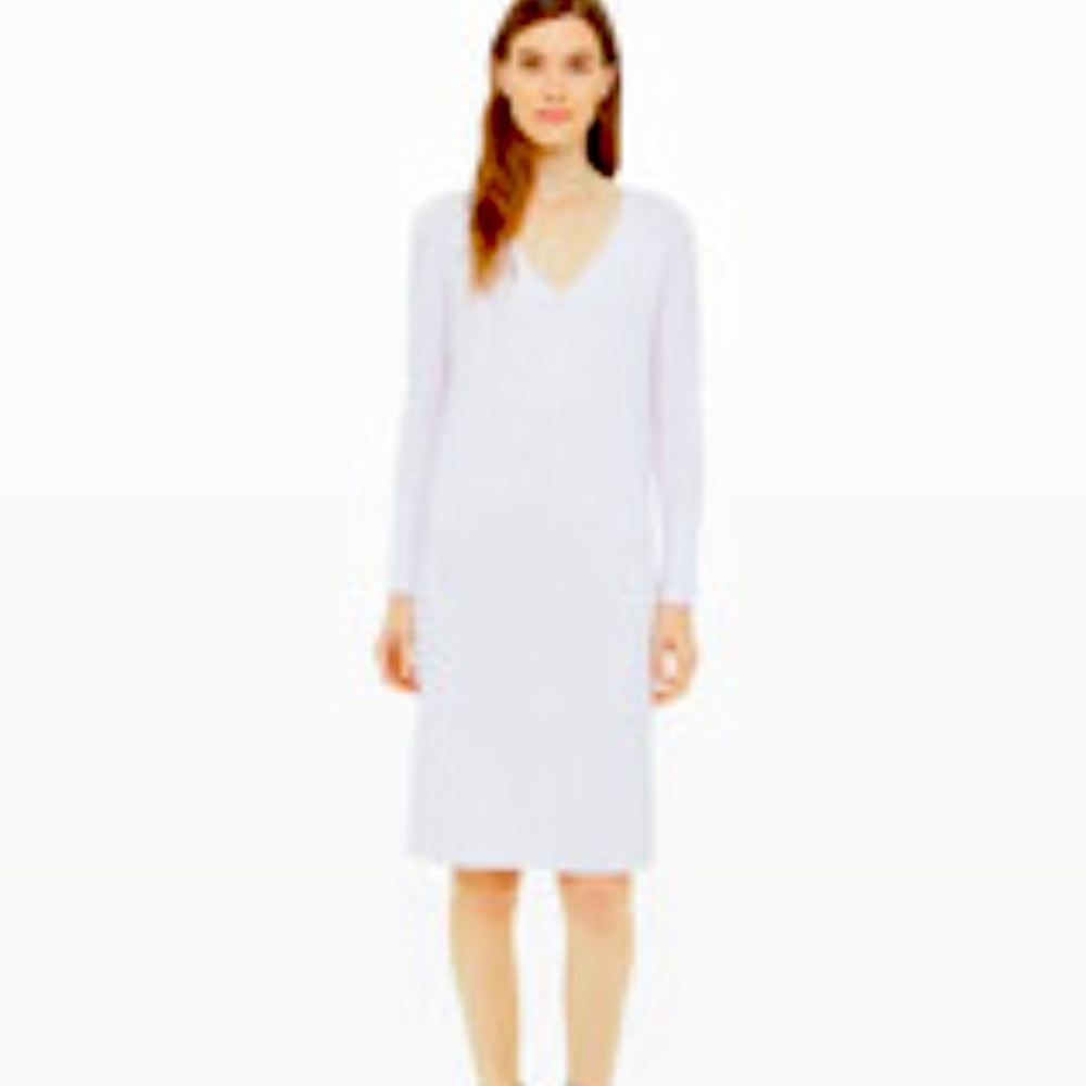 Club Monaco Sweater Dress